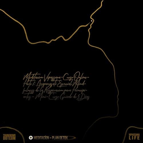 Meditación Vipassana: Curso Online – Parte 1: Anapanasati Esencial: Mindfulness de la Respiración para Principiantes – Mini-Curso Guiado de 5 Días (Curso de Meditación Vipassana Online nº 2)