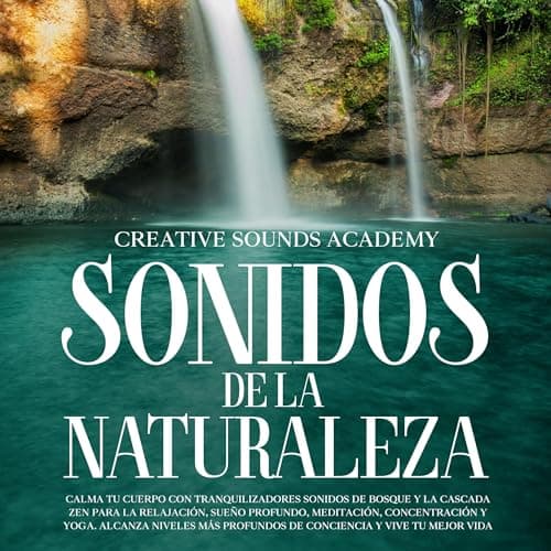 Sonidos de la naturaleza: Restful Rhythms nº 9: Calma tu cuerpo con tranquilizadores sonidos de bosque y la cascada zen para la relajación, sueño profundo, meditación, concentración..