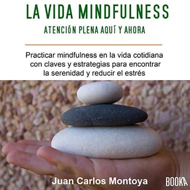 La Vida Mindfulness: Atención Plena Aquí y Ahora: Practicar Mindfulness en La Vida Cotidiana Con Claves y Estrategias para Encontrar La Serenidad y Reducir El Estrés